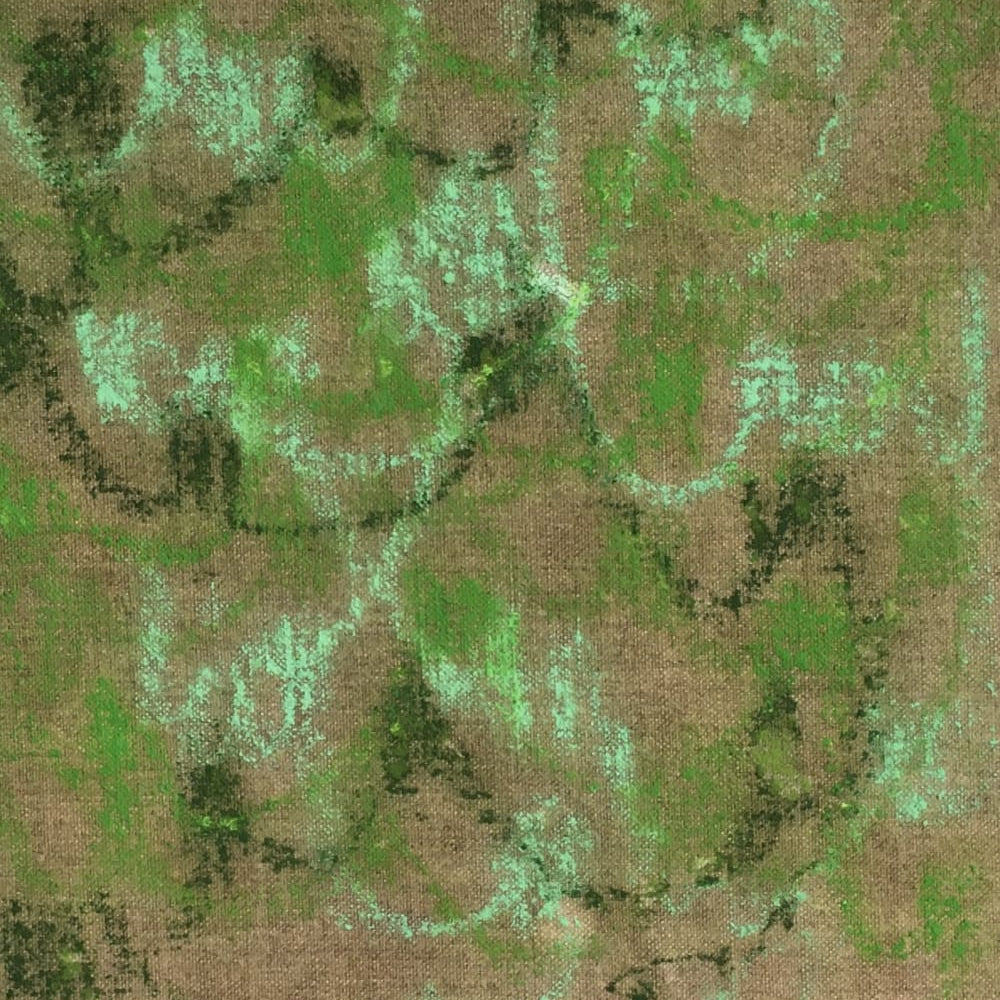 FIELD NOTES CURATED BY ANDREW HEWISH Oct 20, 2022 Dec 2, 2022