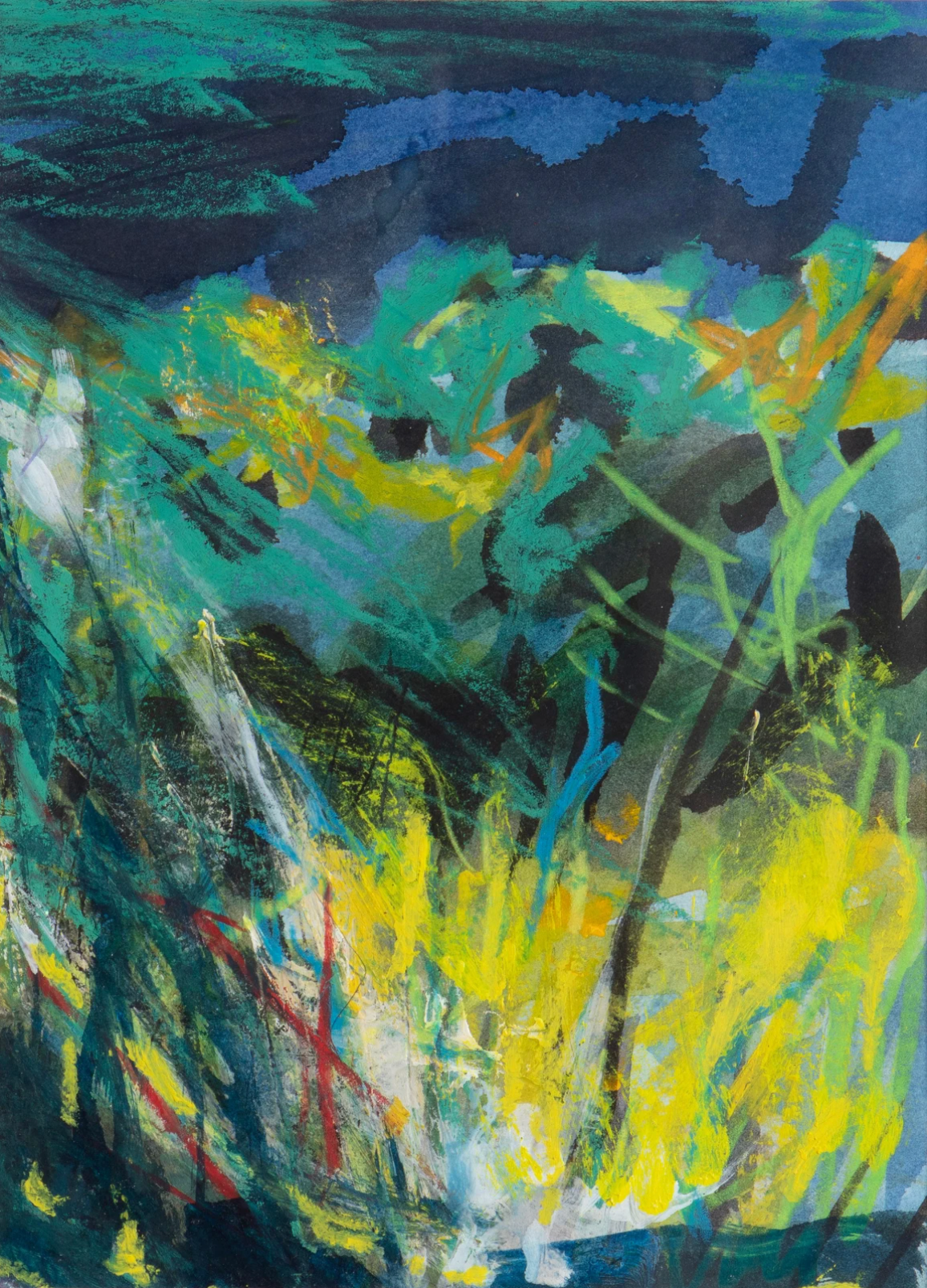 Walking in Toadsmoor