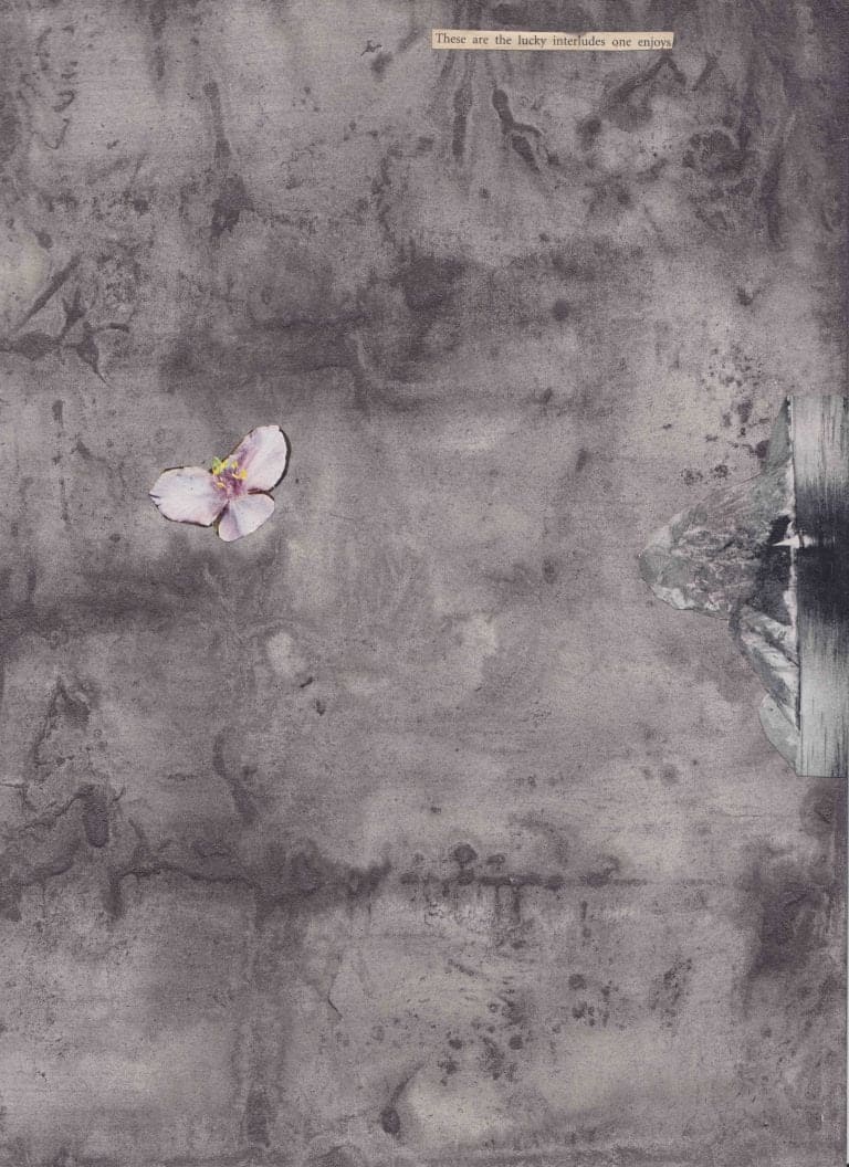 These are the lucky Interludes One Enjoys