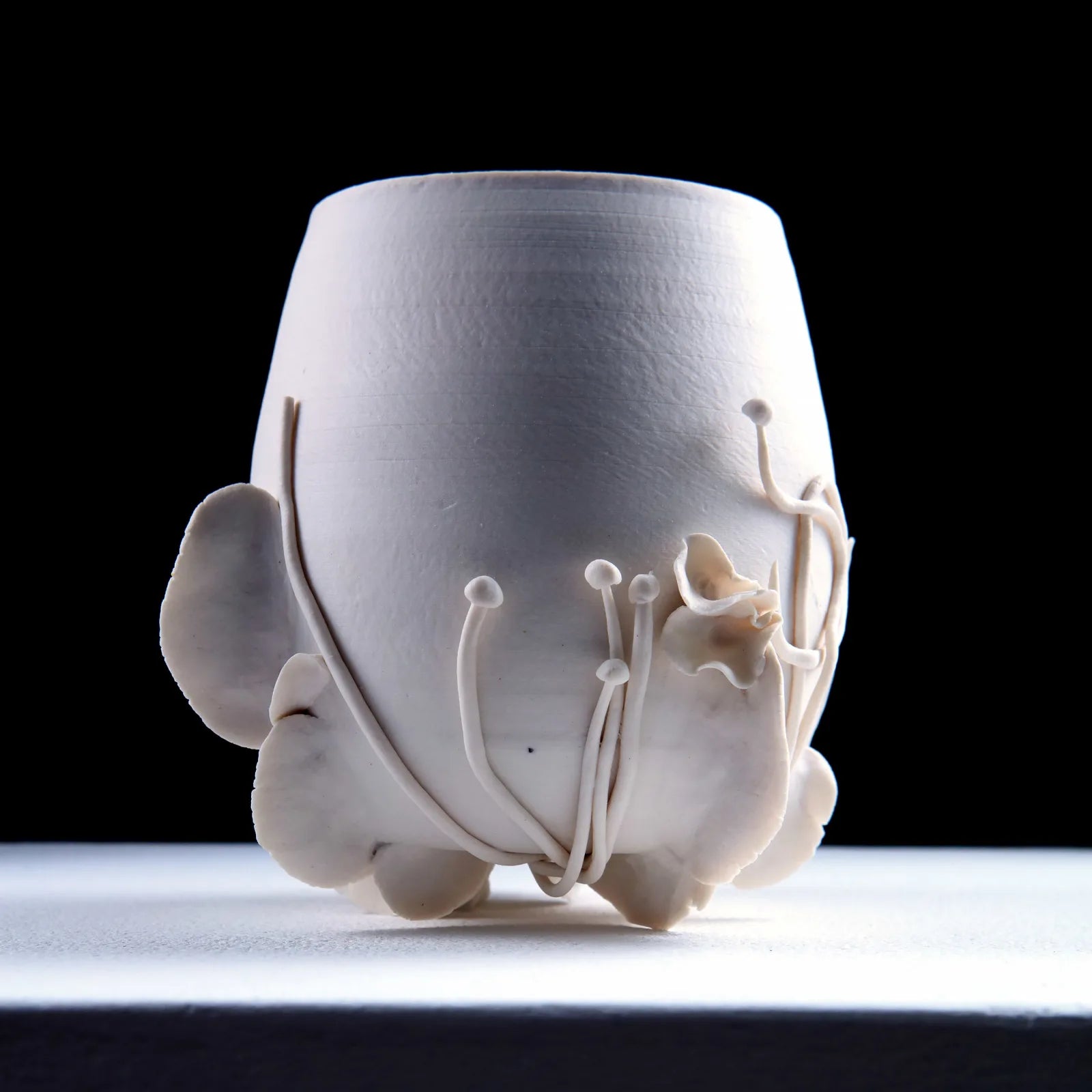 Anna Simson | Repossession Series, 2024