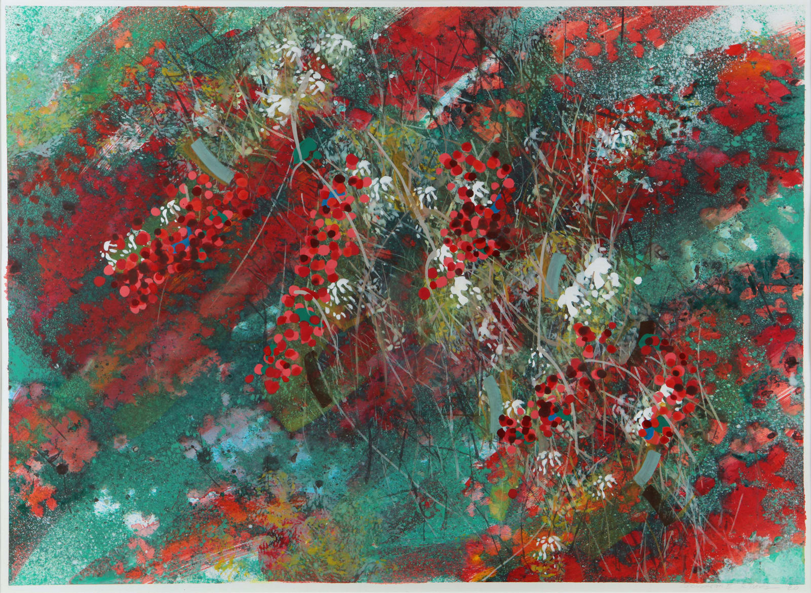 Cotoneaster II