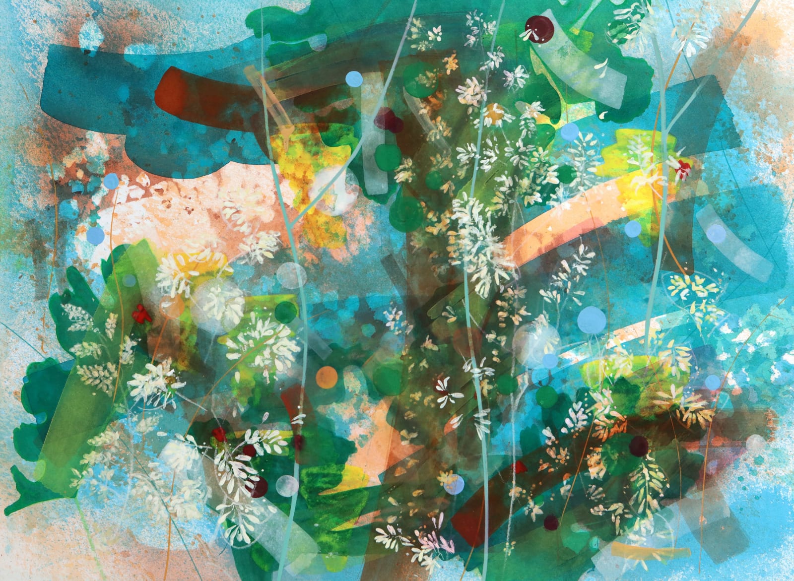 Macleaya and Amelanchier