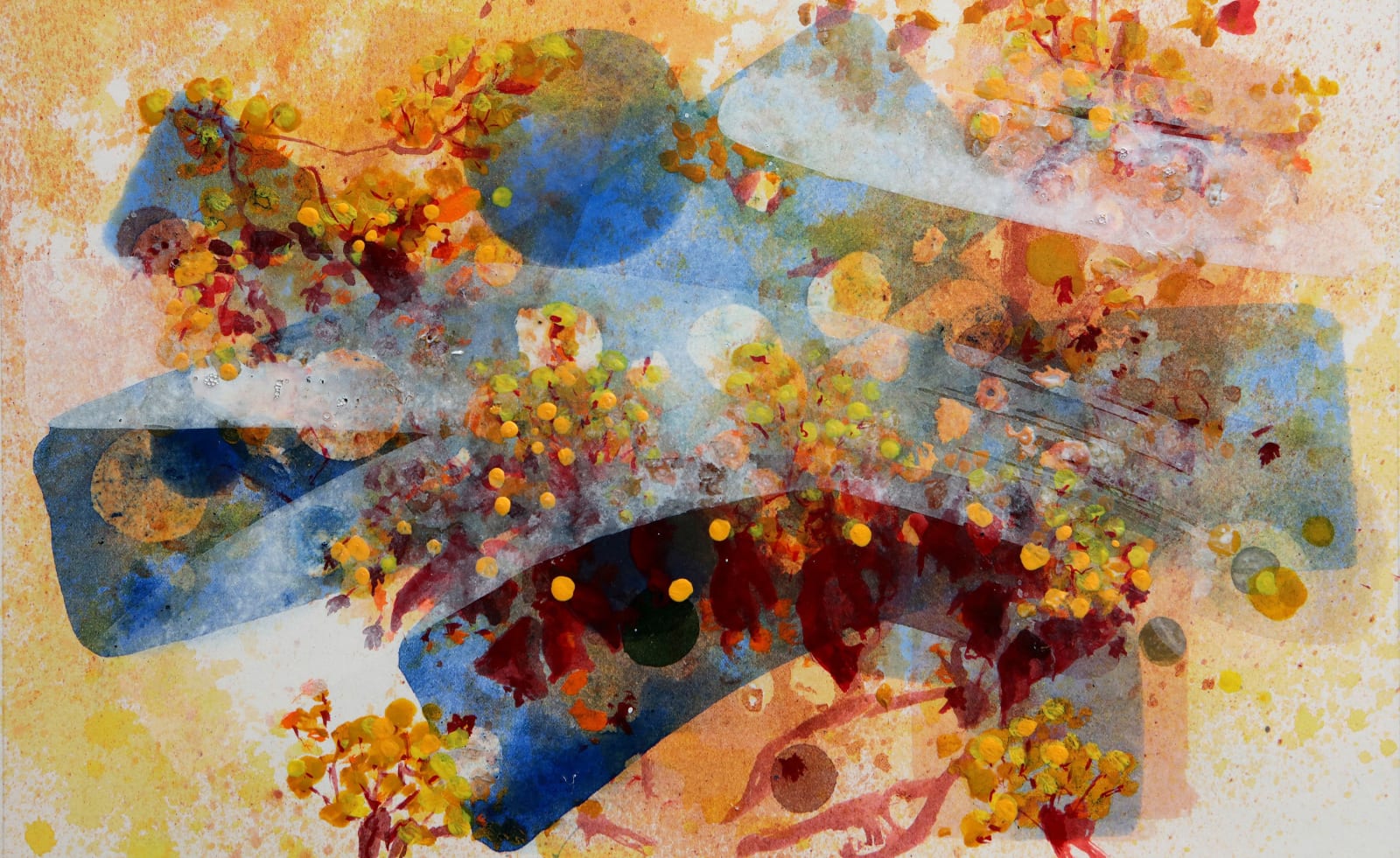 Norway Maple Study IV