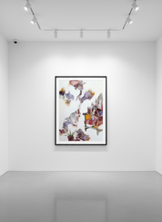 AM I AN AFRICAN CHICKEN, OR AN URBAN FOX?