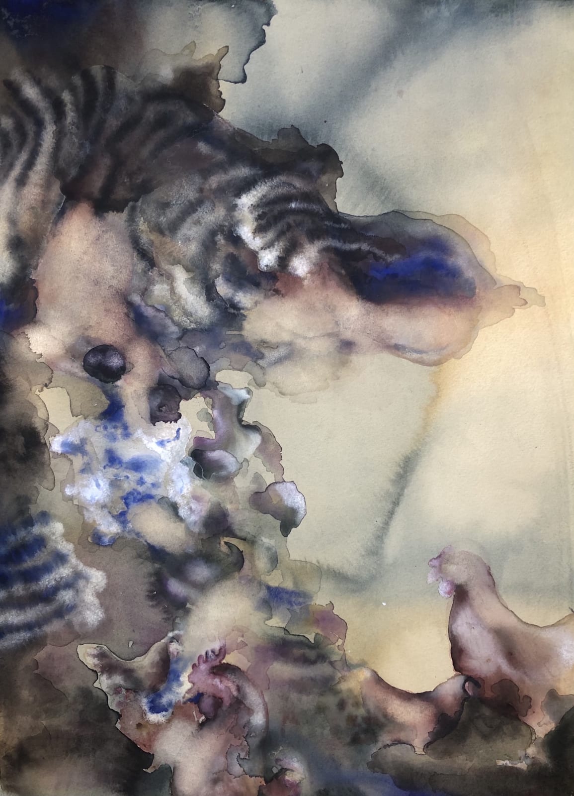 Tigers Of The Kalahari